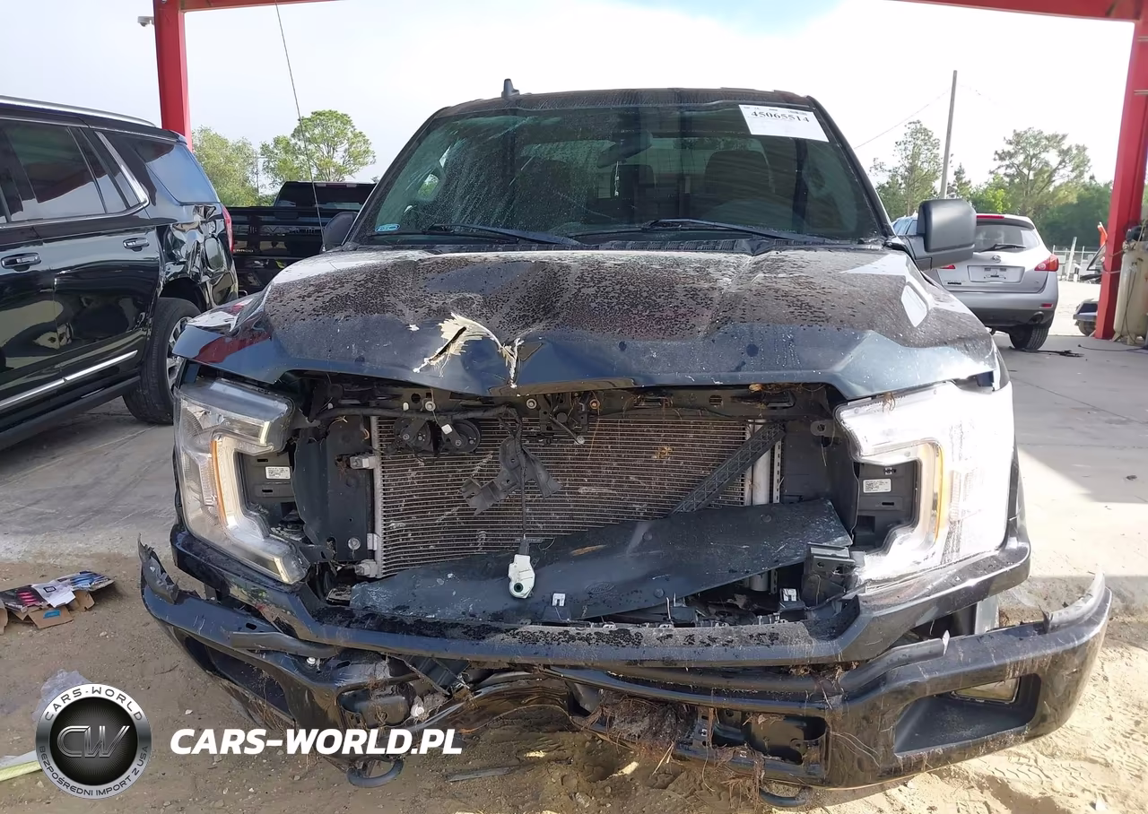 2020 Ford F-150 Xl VIN:1FTFX1E49LKE99669 - 12