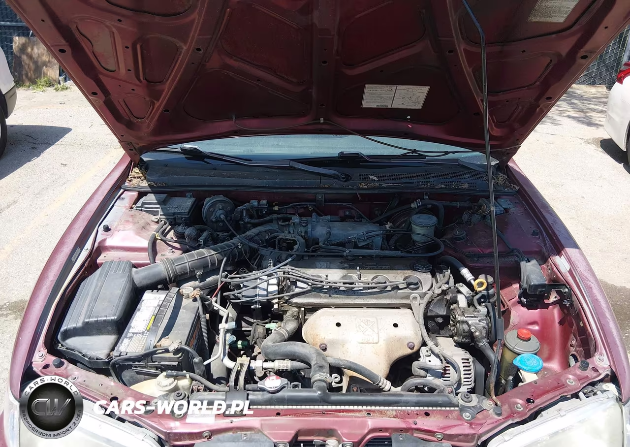 1997 Honda Accord Lx VIN:1HGCD5636VA114605 - 10