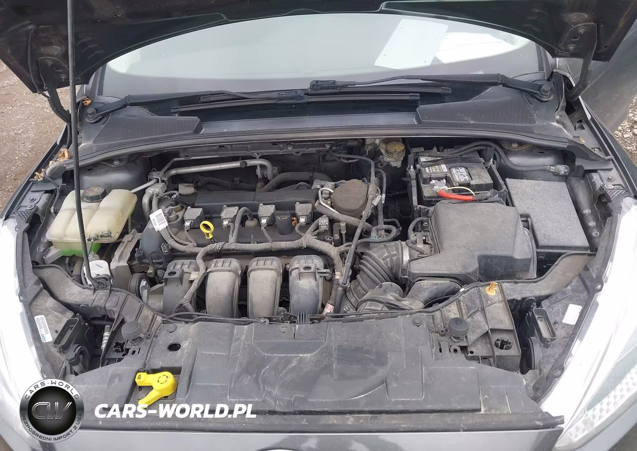 2015 Ford Focus Se VIN:1FADP3F22FL329478 - 10