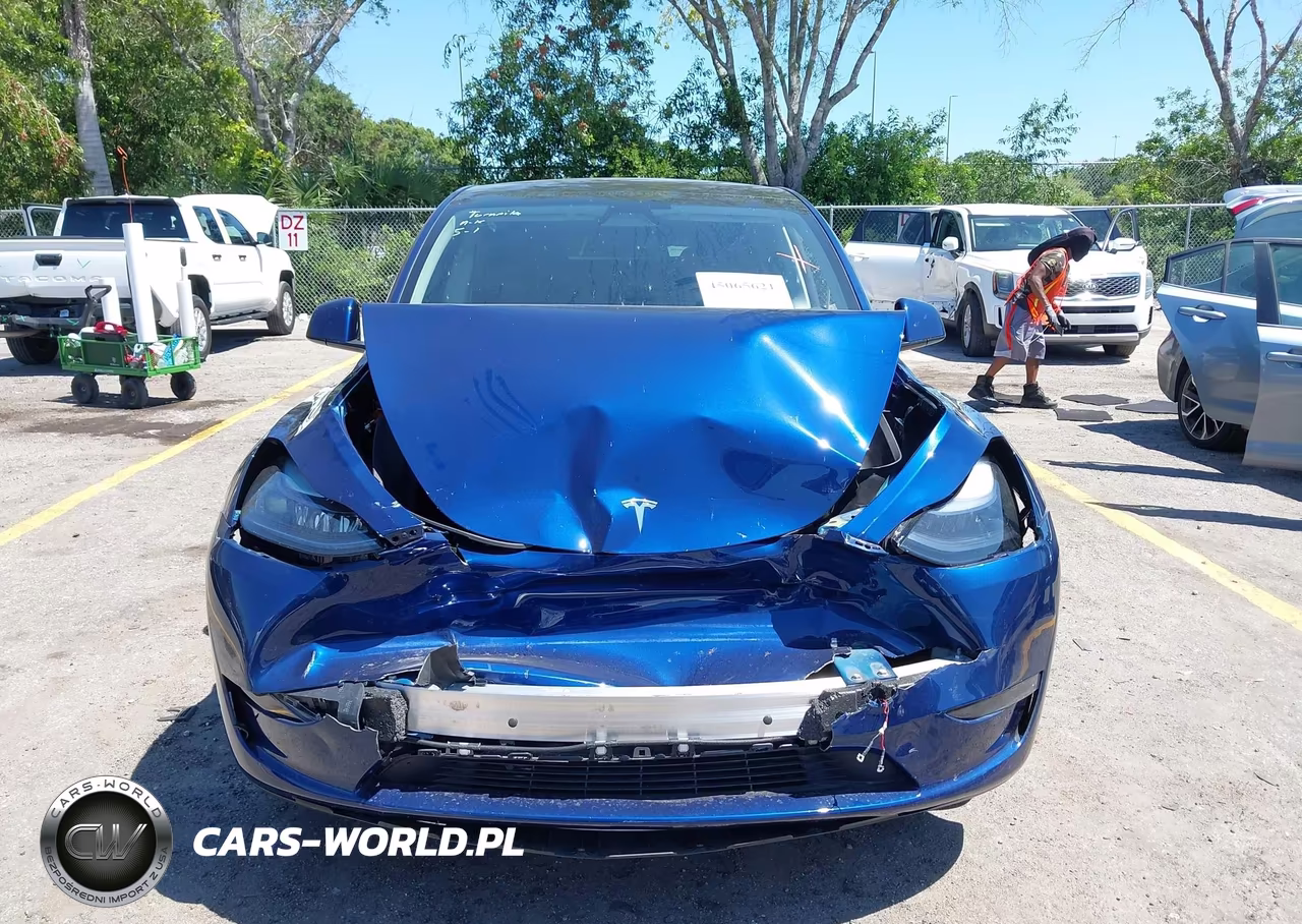 2025 Tesla Model Y Long Range Dual Motor All-Wheel Drive VIN:7SAYGDEE6SA363918 - 12