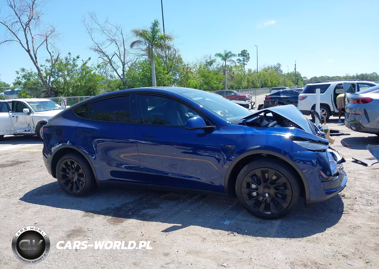 2025 Tesla Model Y Long Range Dual Motor All-Wheel Drive VIN:7SAYGDEE6SA363918 - 13