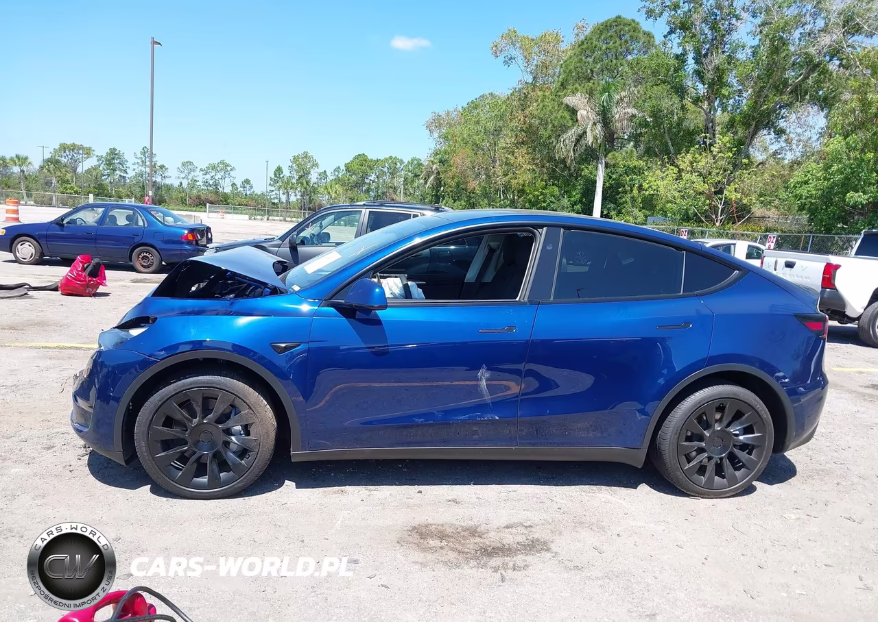 2025 Tesla Model Y Long Range Dual Motor All-Wheel Drive VIN:7SAYGDEE6SA363918 - 14