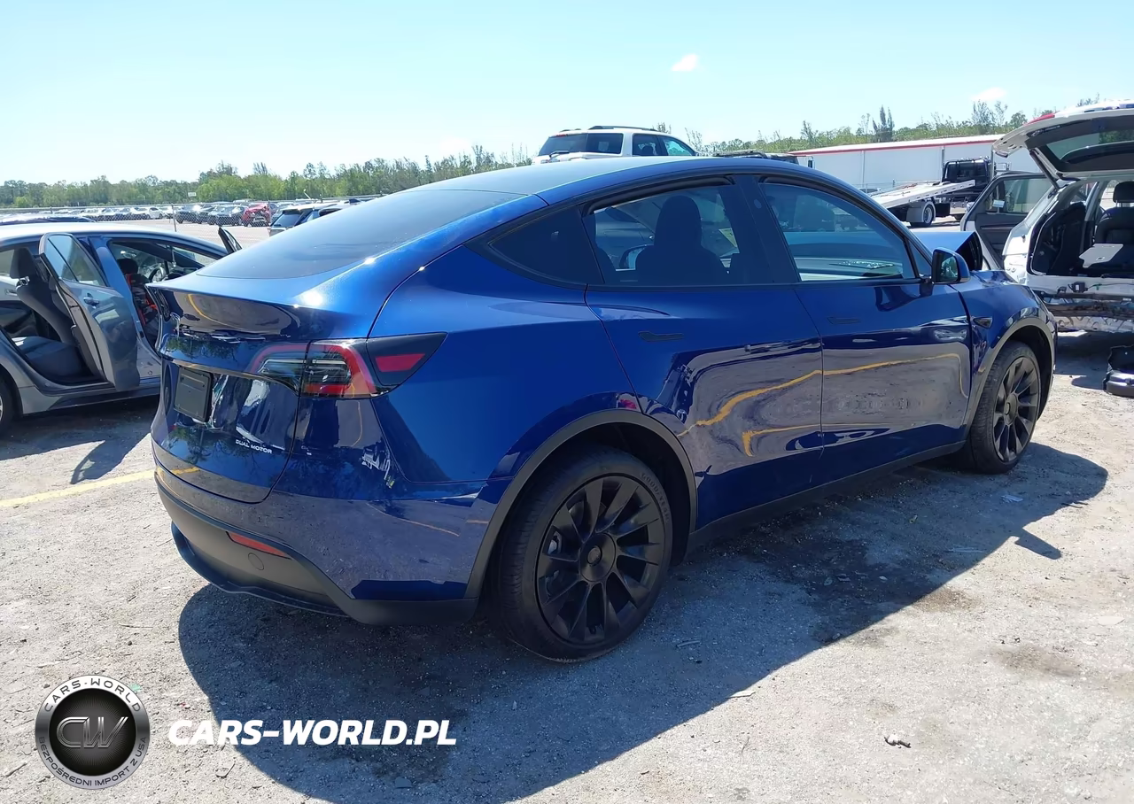 2025 Tesla Model Y Long Range Dual Motor All-Wheel Drive VIN:7SAYGDEE6SA363918 - 4