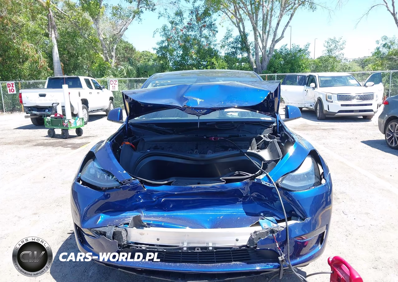 2025 Tesla Model Y Long Range Dual Motor All-Wheel Drive VIN:7SAYGDEE6SA363918 - 6
