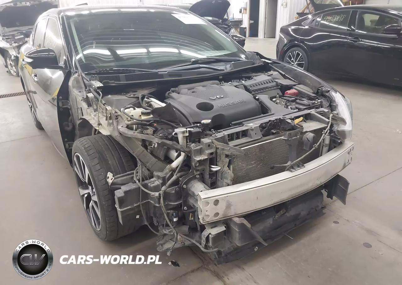 2018 Nissan Maxima 3.5 Platinum VIN:1N4AA6AP7JC367693 - 6
