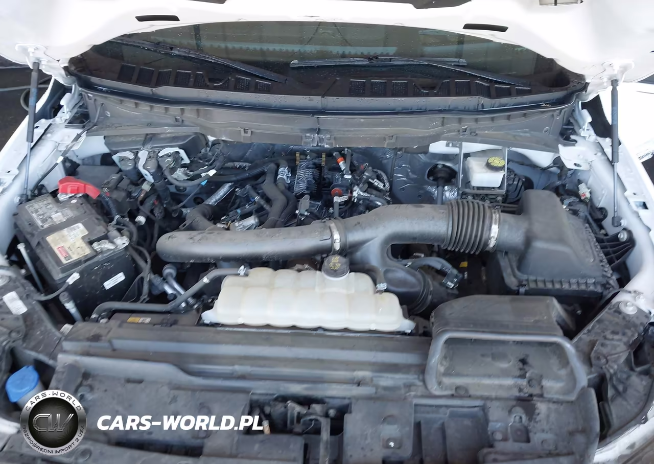 2024 Ford F-150 Platinum VIN:1FTFW7L89RFA15917 - 10