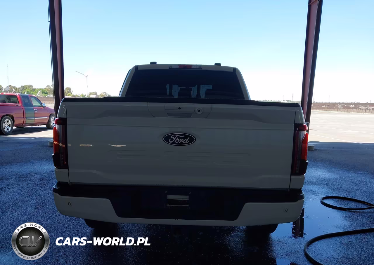 2024 Ford F-150 Platinum VIN:1FTFW7L89RFA15917 - 17
