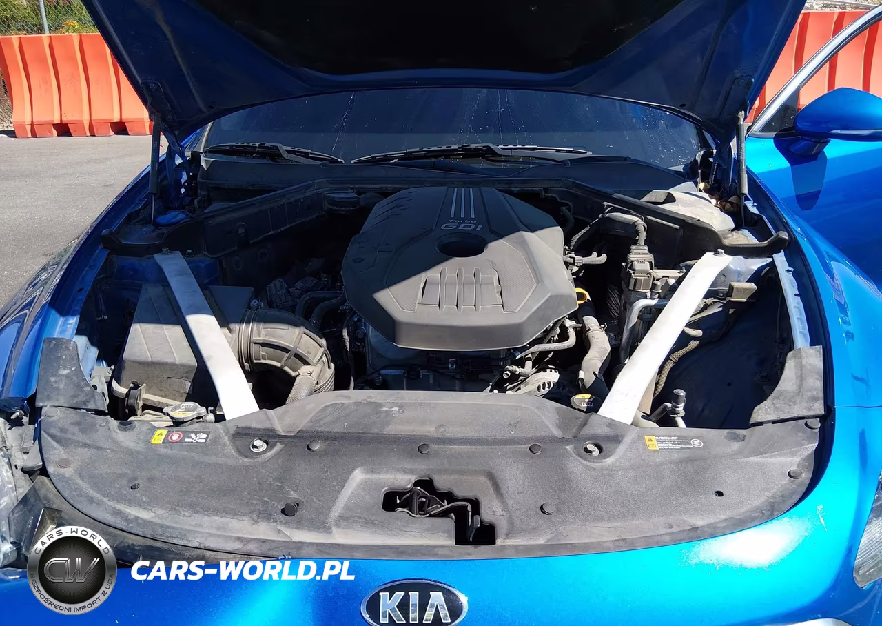 2018 Kia Stinger Premium VIN:KNAE25LA3J6014021 - 10