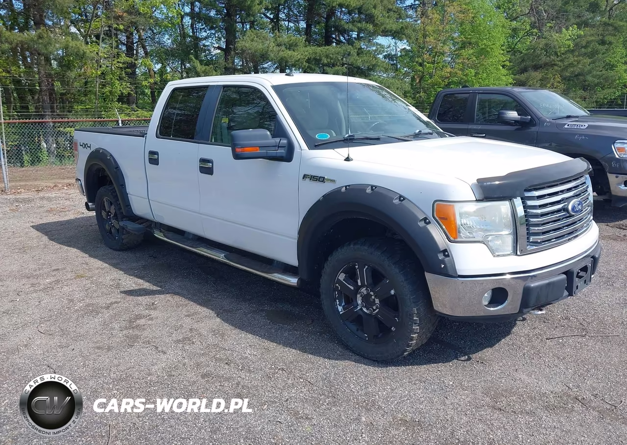 Główne zdjęcie 2010 Ford F-150 Fx4-Harley-Davidson-King Ranch-Lariat-Platinum-Xl-Xlt