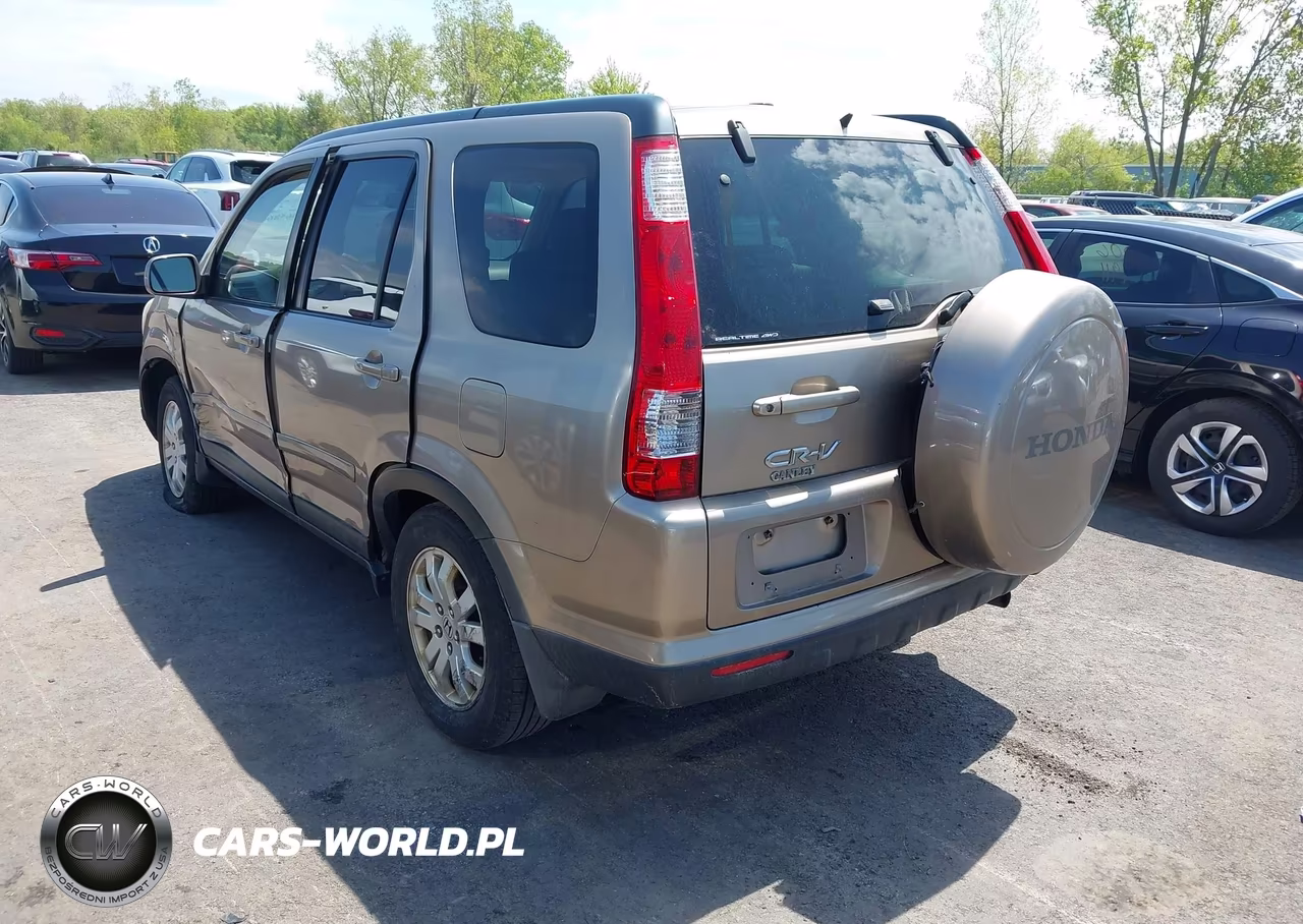 2006 Honda Cr-V Se VIN:SHSRD78916U444367 - 3