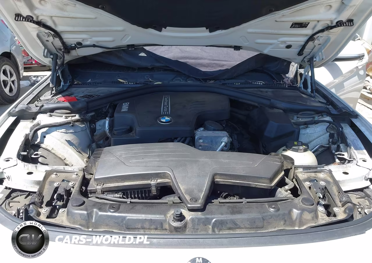 2016 BMW 428I Gran Coupe VIN:WBA4A9C51GGL89675 - 10