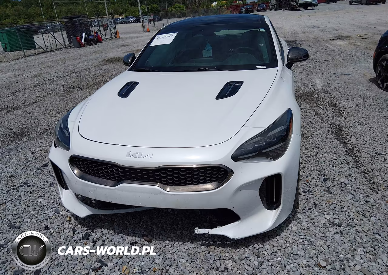 2022 Kia Stinger Gt1 VIN:KNAE45LC6N6113031 - 12