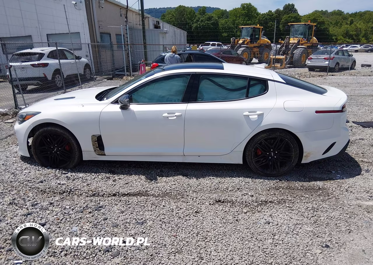 2022 Kia Stinger Gt1 VIN:KNAE45LC6N6113031 - 14