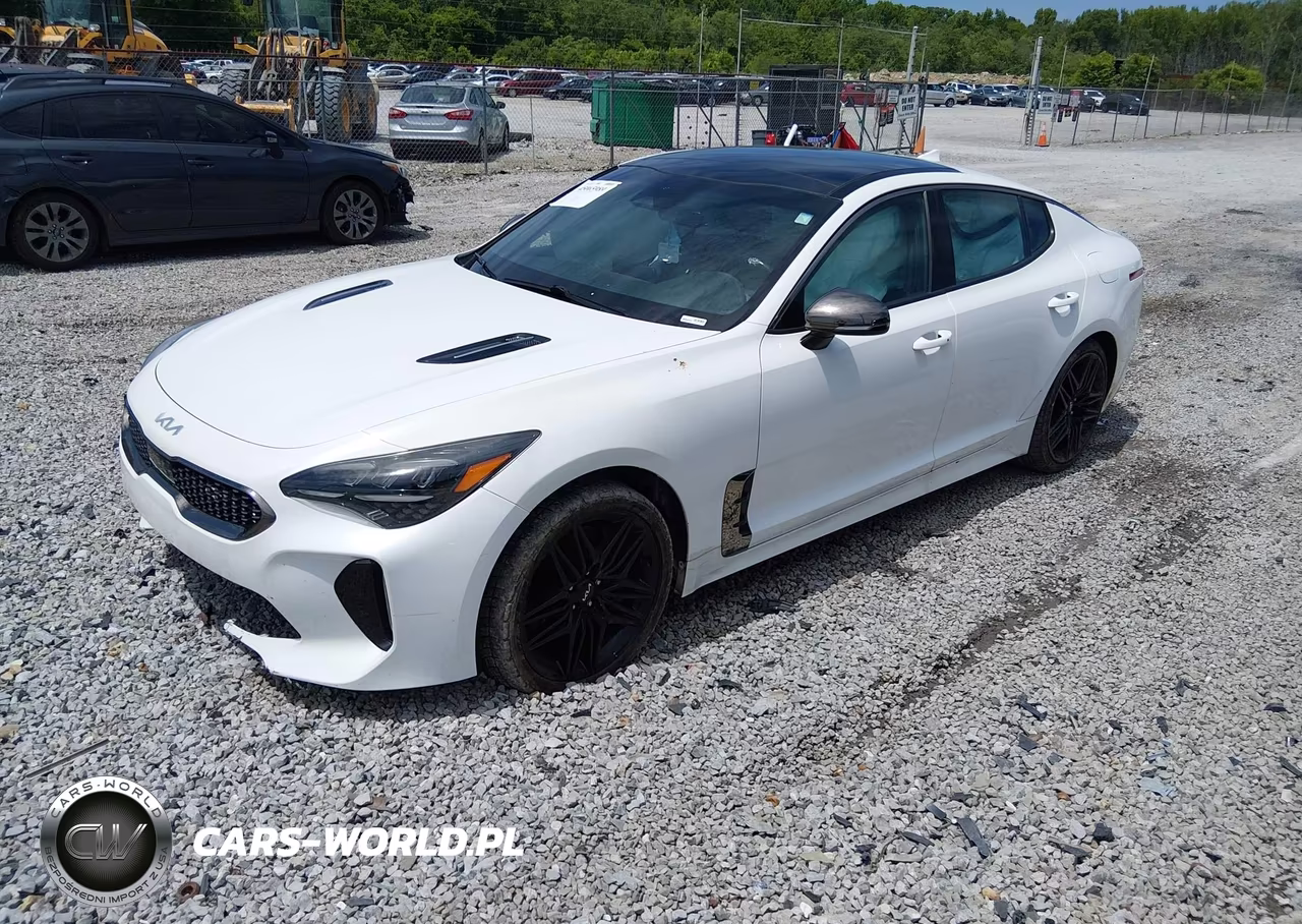 2022 Kia Stinger Gt1 VIN:KNAE45LC6N6113031 - 2