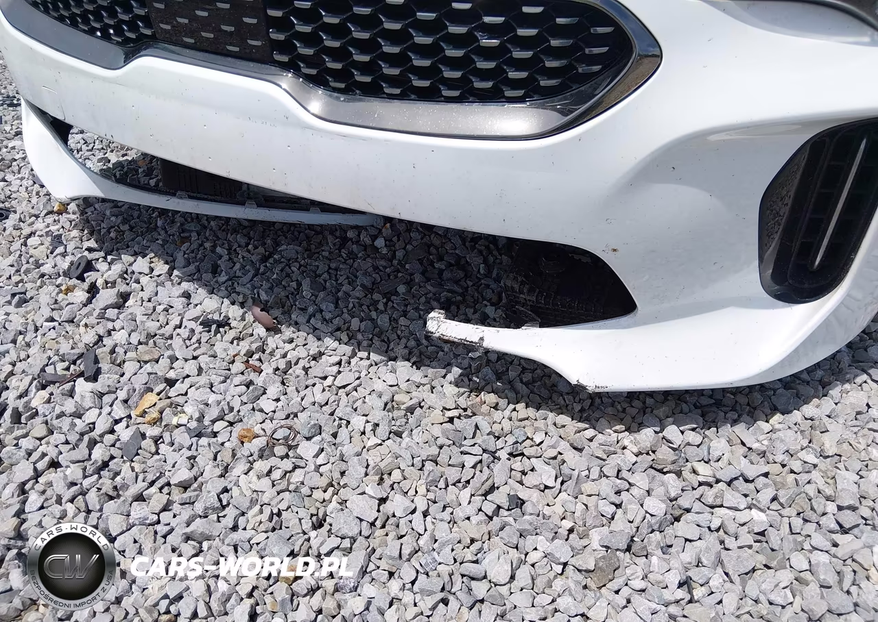 2022 Kia Stinger Gt1 VIN:KNAE45LC6N6113031 - 6