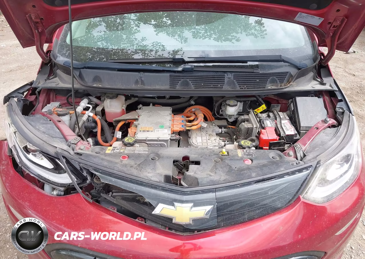 2017 Chevrolet Bolt Ev Lt VIN:1G1FW6S00H4141558 - 10