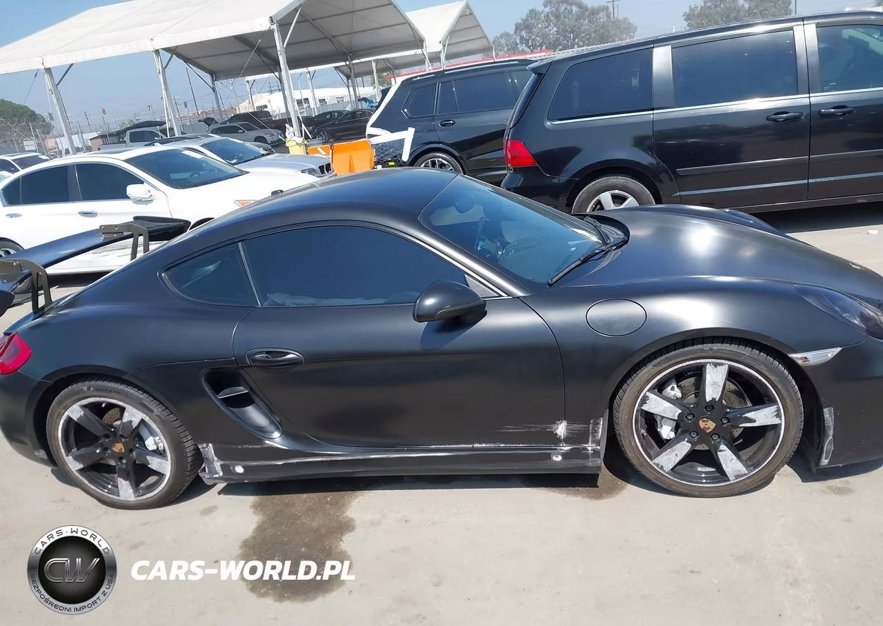 2014 Porsche Cayman VIN:WP0AA2A88EK173035 - 13