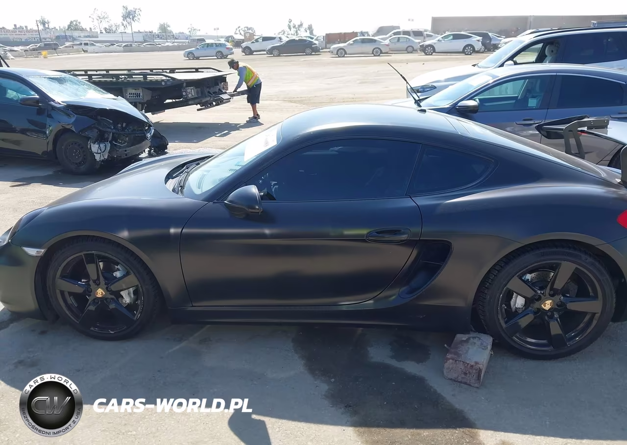 2014 Porsche Cayman VIN:WP0AA2A88EK173035 - 14
