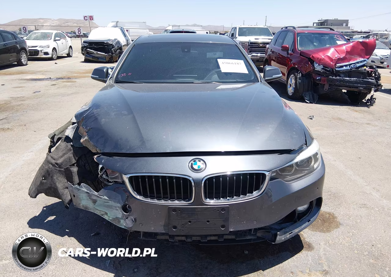 2018 BMW 430I Gran Coupe xDrive VIN:WBA4J3C52JBG97216 - 13