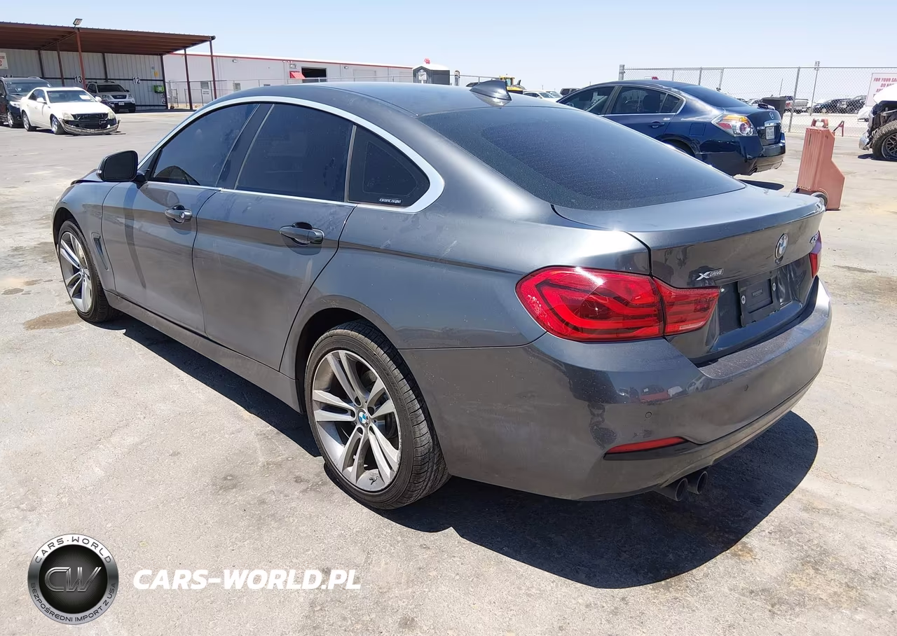 2018 BMW 430I Gran Coupe xDrive VIN:WBA4J3C52JBG97216 - 3