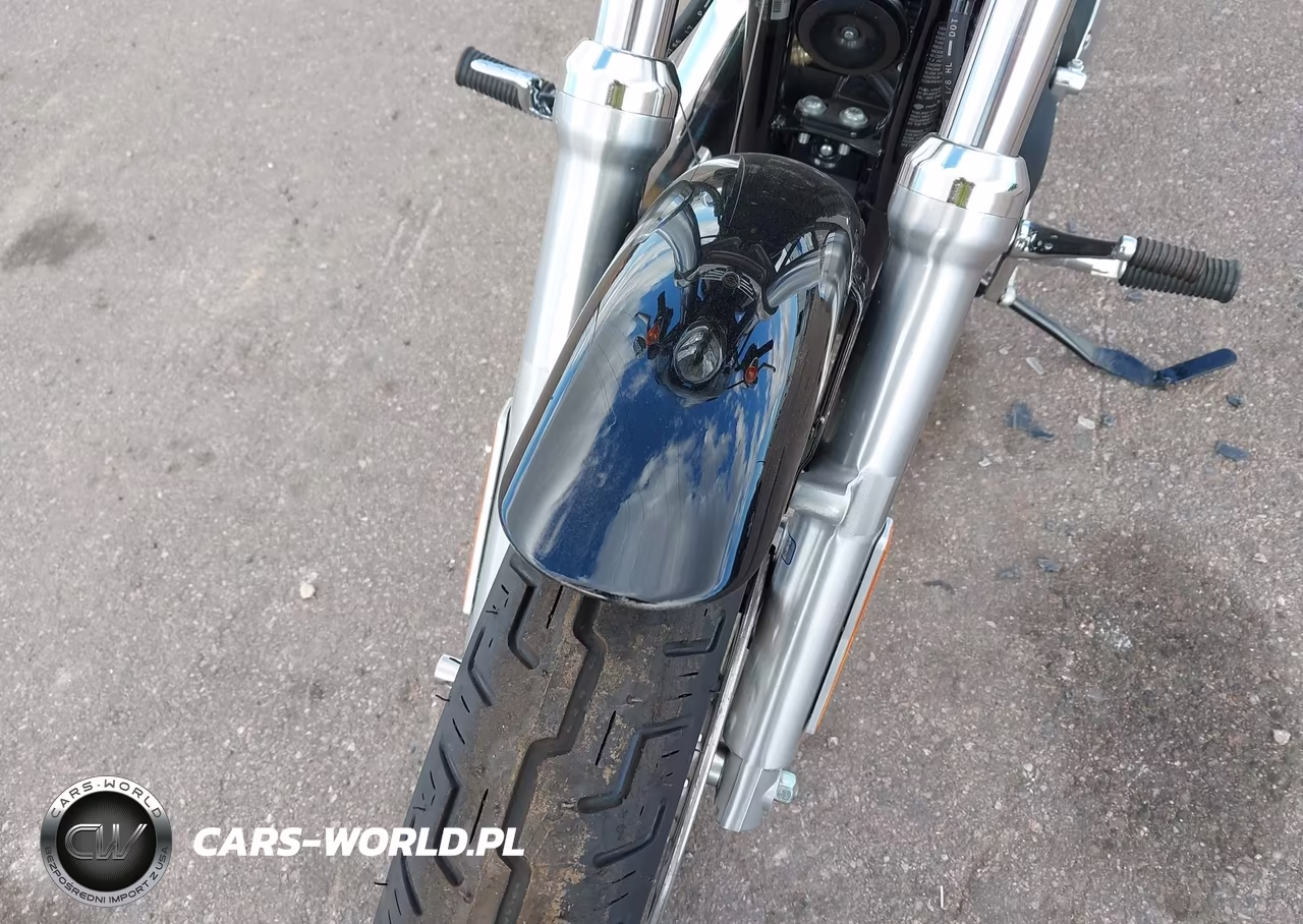 2007 Harley-Davidson Xl1200 R VIN:1HD1CV3157K410318 - 16