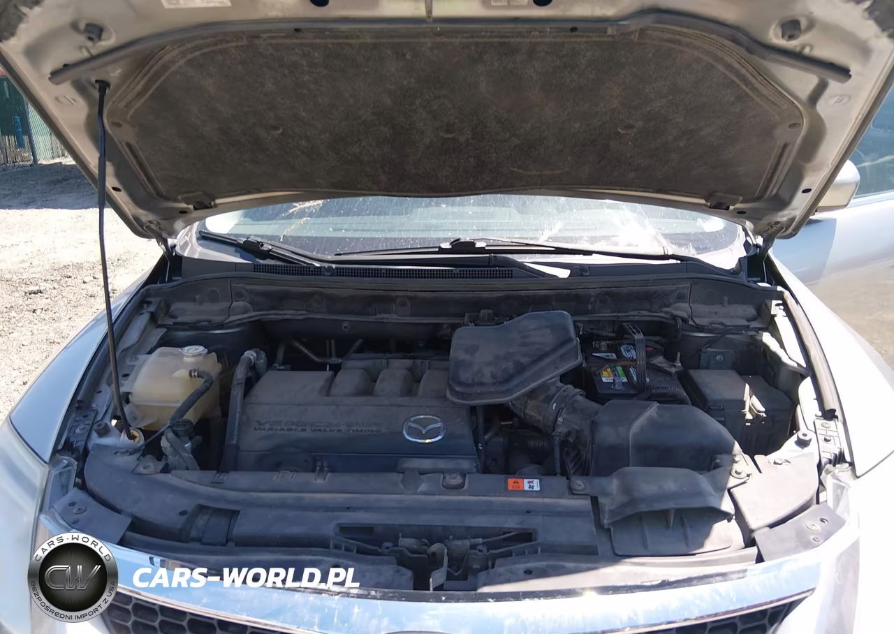 2009 Mazda Cx-9 Touring VIN:JM3TB28AX90176882 - 10