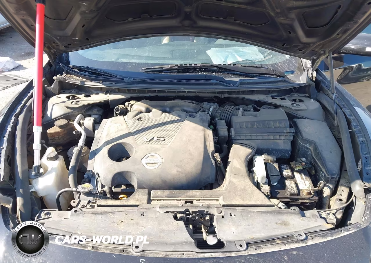 2009 Nissan Maxima 3.5 Sv VIN:1N4AA51E19C837334 - 10