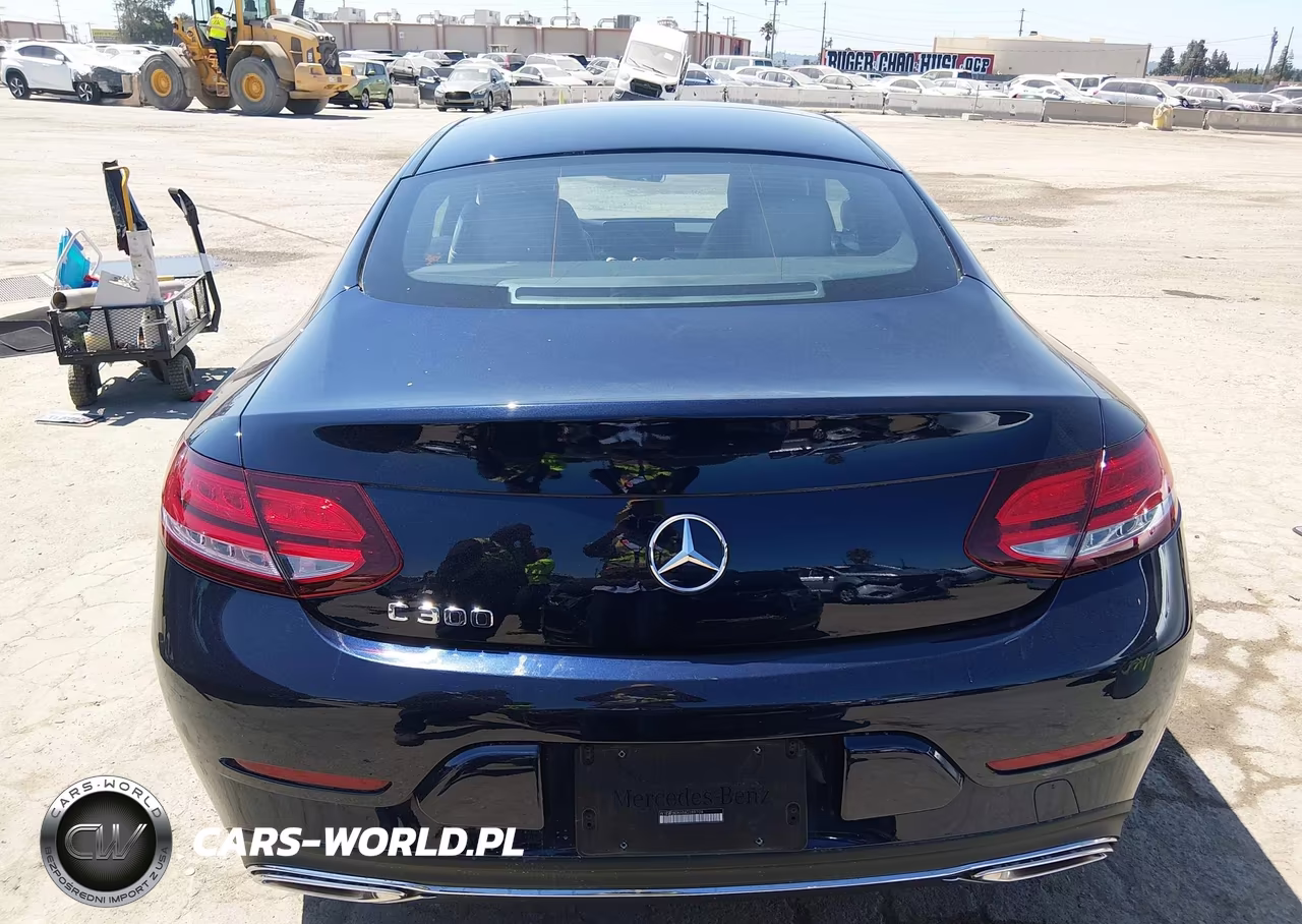 2021 Mercedes-Benz C 300 Coupe VIN:W1KWJ8DBXMG089709 - 16