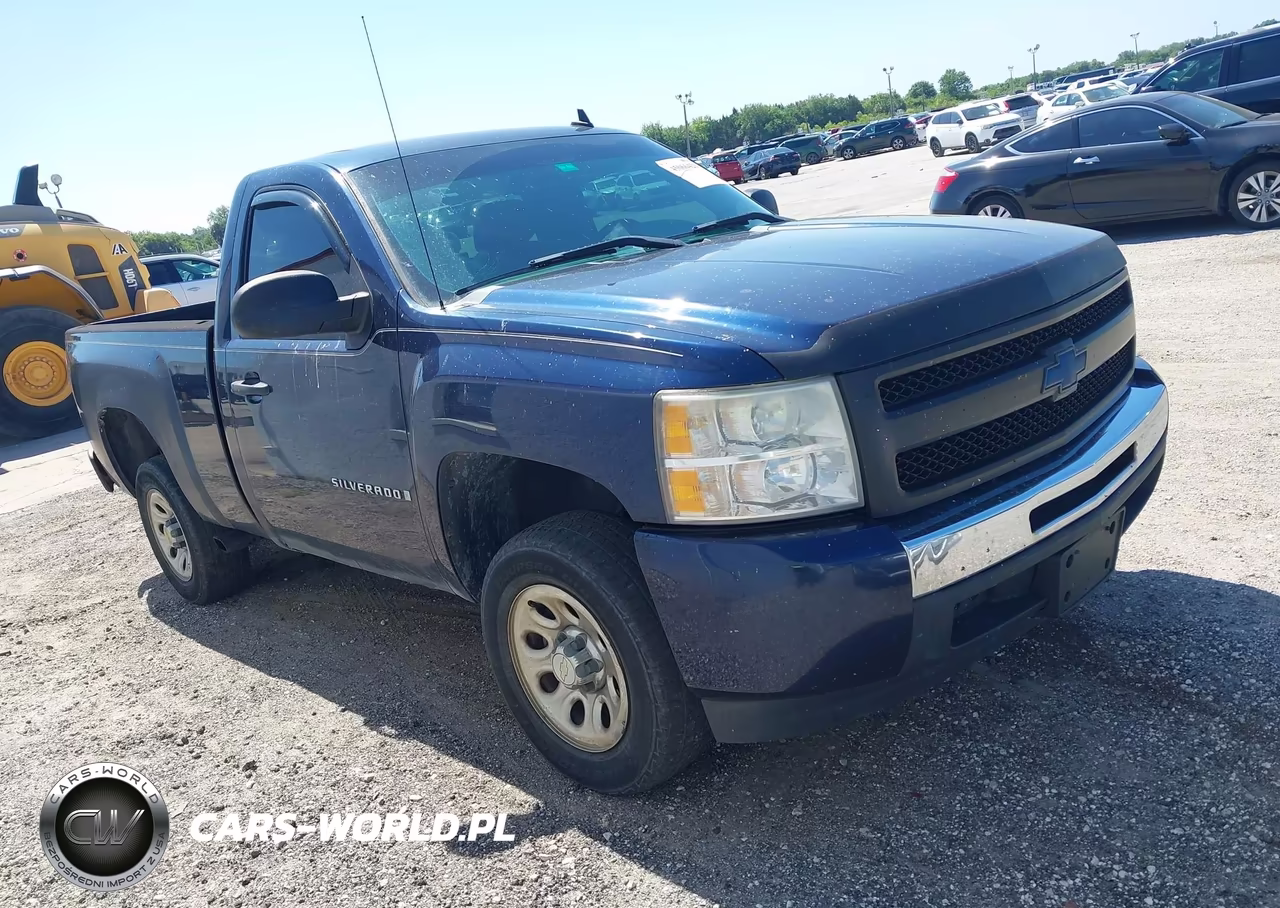 2009 Chevrolet Silverado 1500 Work Truck