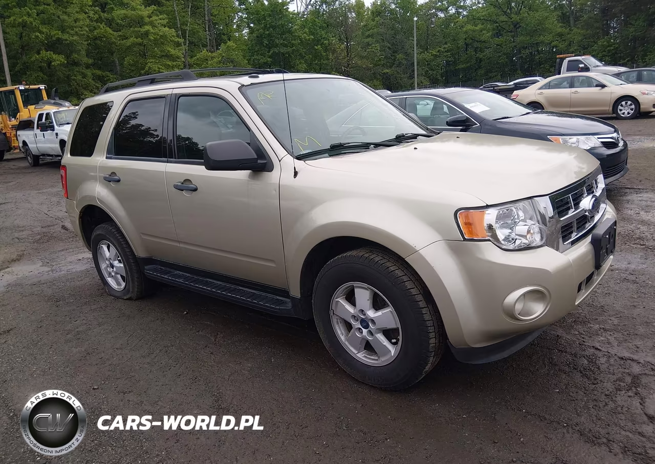 Główne zdjęcie 2010 Ford Escape Xlt