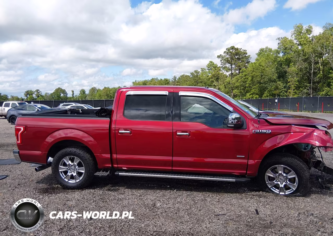 2015 Ford F-150 Xlt VIN:1FTEW1CG1FFB28899 - 13