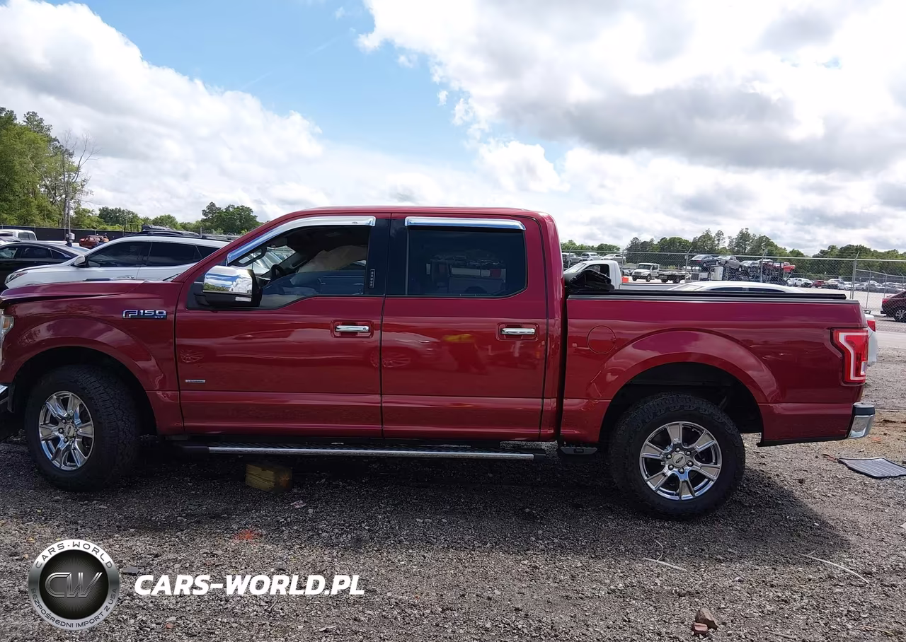 2015 Ford F-150 Xlt VIN:1FTEW1CG1FFB28899 - 14
