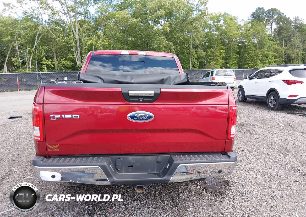 2015 Ford F-150 Xlt VIN:1FTEW1CG1FFB28899 - 16