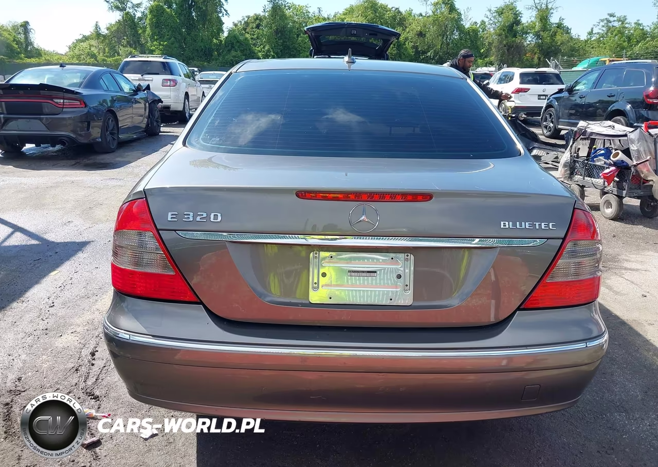 2009 Mercedes-Benz E 320 Bluetec VIN:WDBUF22X29B367665 - 16