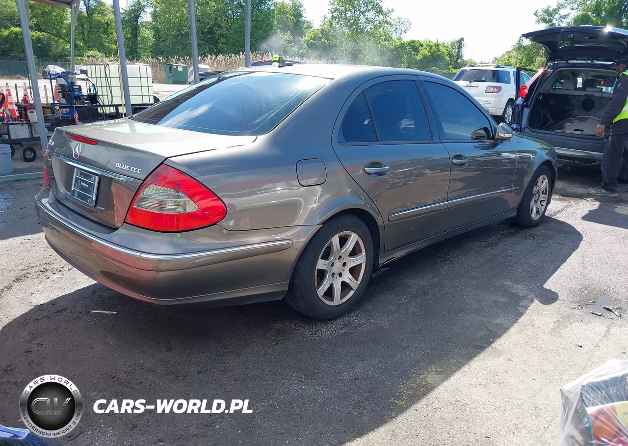 2009 Mercedes-Benz E 320 Bluetec VIN:WDBUF22X29B367665 - 4