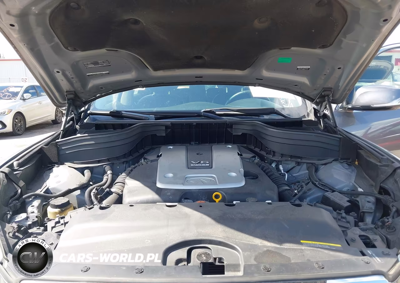 2016 Infiniti Qx50 VIN:JN1BJ0RP3GM231809 - 10