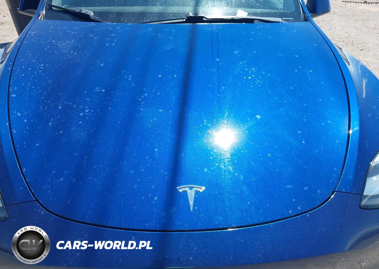 2020 Tesla Model Y Long Range Dual Motor All-Wheel Drive VIN:5YJYGDEE9LF008291 - 10