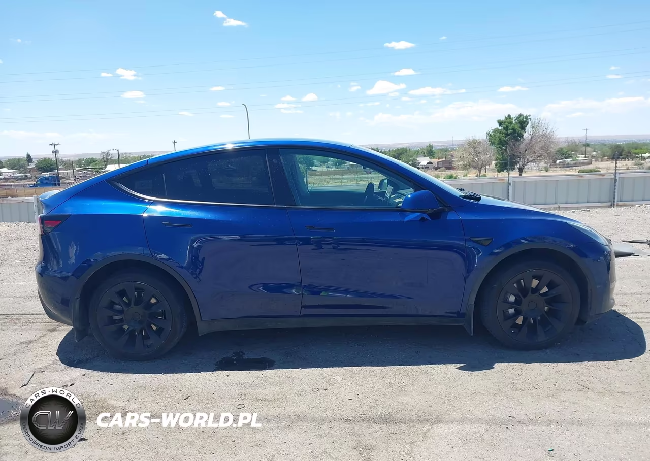 2020 Tesla Model Y Long Range Dual Motor All-Wheel Drive VIN:5YJYGDEE9LF008291 - 13