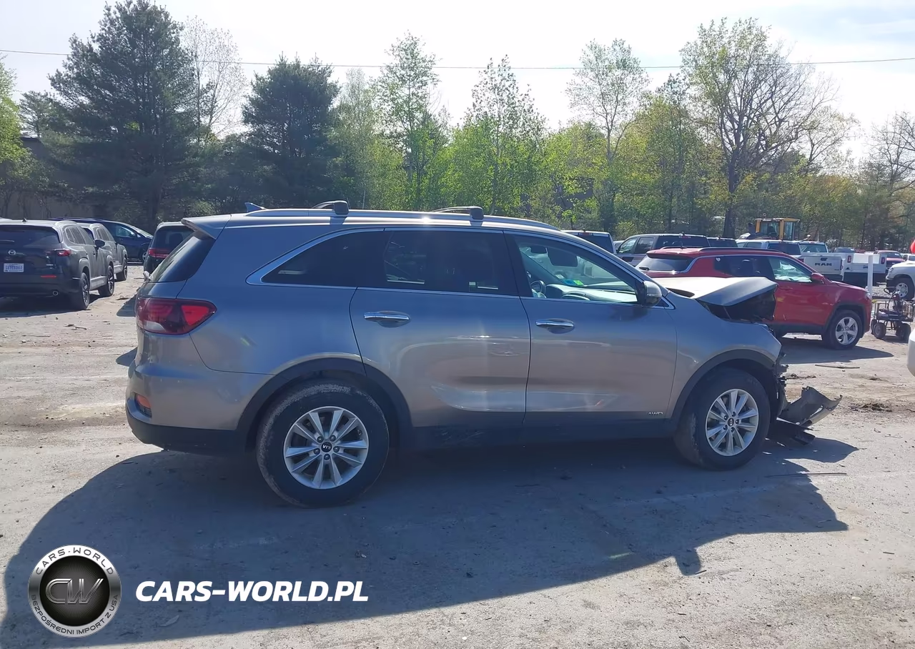 2019 Kia Sorento 2.4L Lx VIN:5XYPGDA36KG540833 - 14