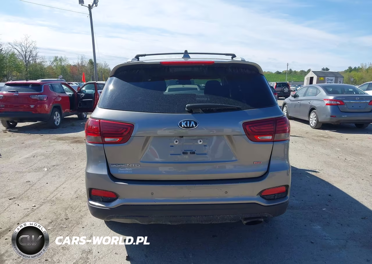 2019 Kia Sorento 2.4L Lx VIN:5XYPGDA36KG540833 - 17