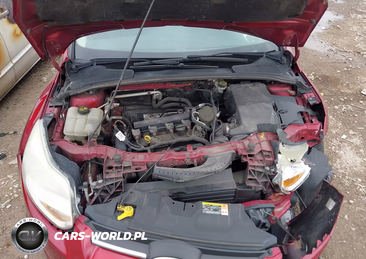 2014 Ford Focus Se VIN:1FADP3K28EL173936 - 10