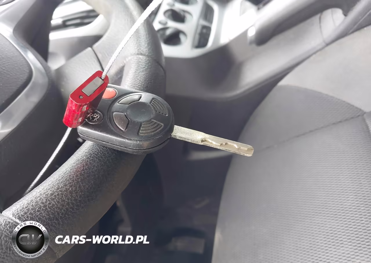 2014 Ford Focus Se VIN:1FADP3K28EL173936 - 11