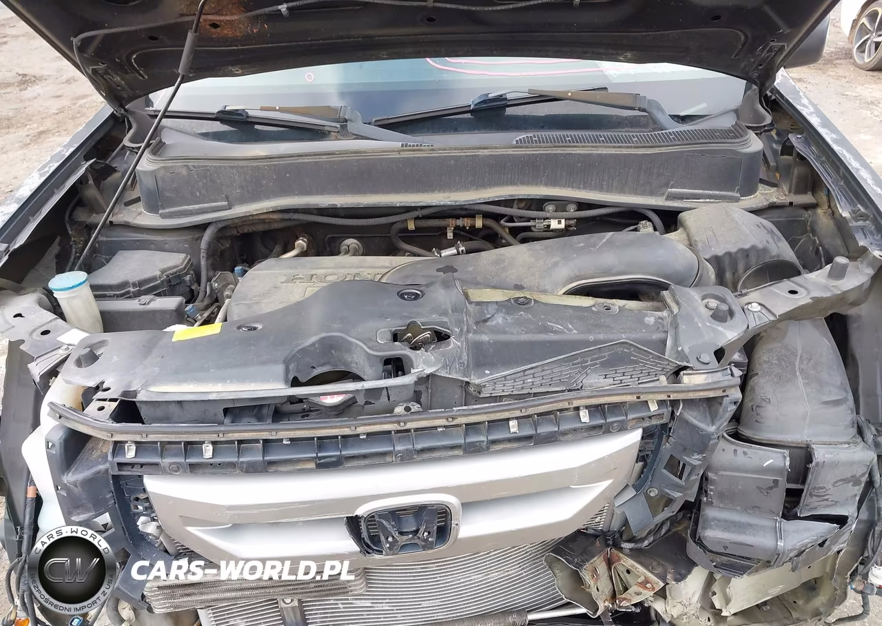 2010 Honda Pilot Lx VIN:5FNYF3H23AB010727 - 10