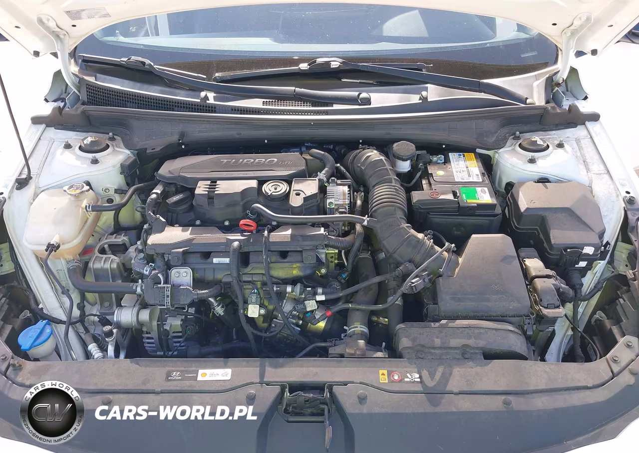 2021 Hyundai Elantra N Line VIN:KMHLR4AF4MU197407 - 10