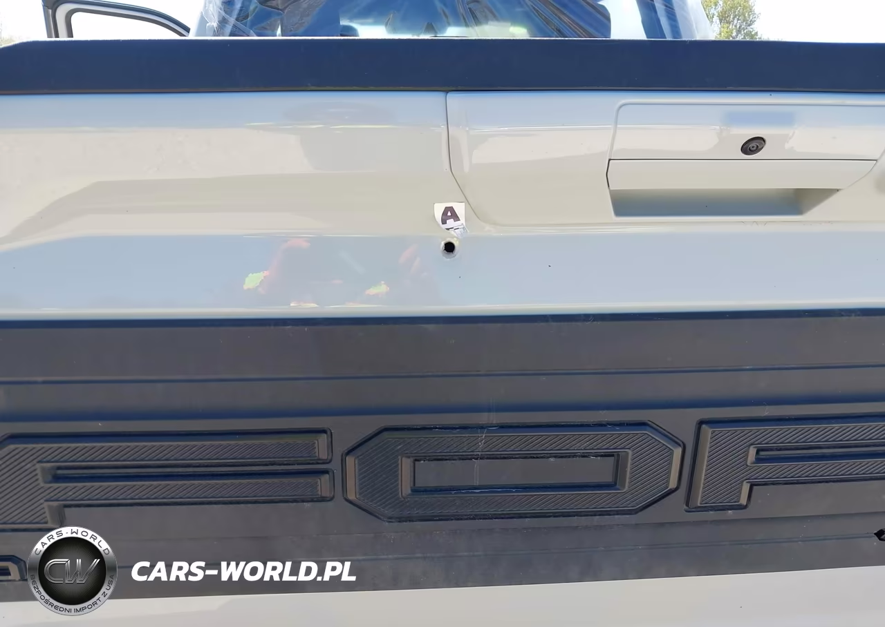 2024 Ford F-150 Raptor VIN:1FTFW1RJ7RFB59425 - 20