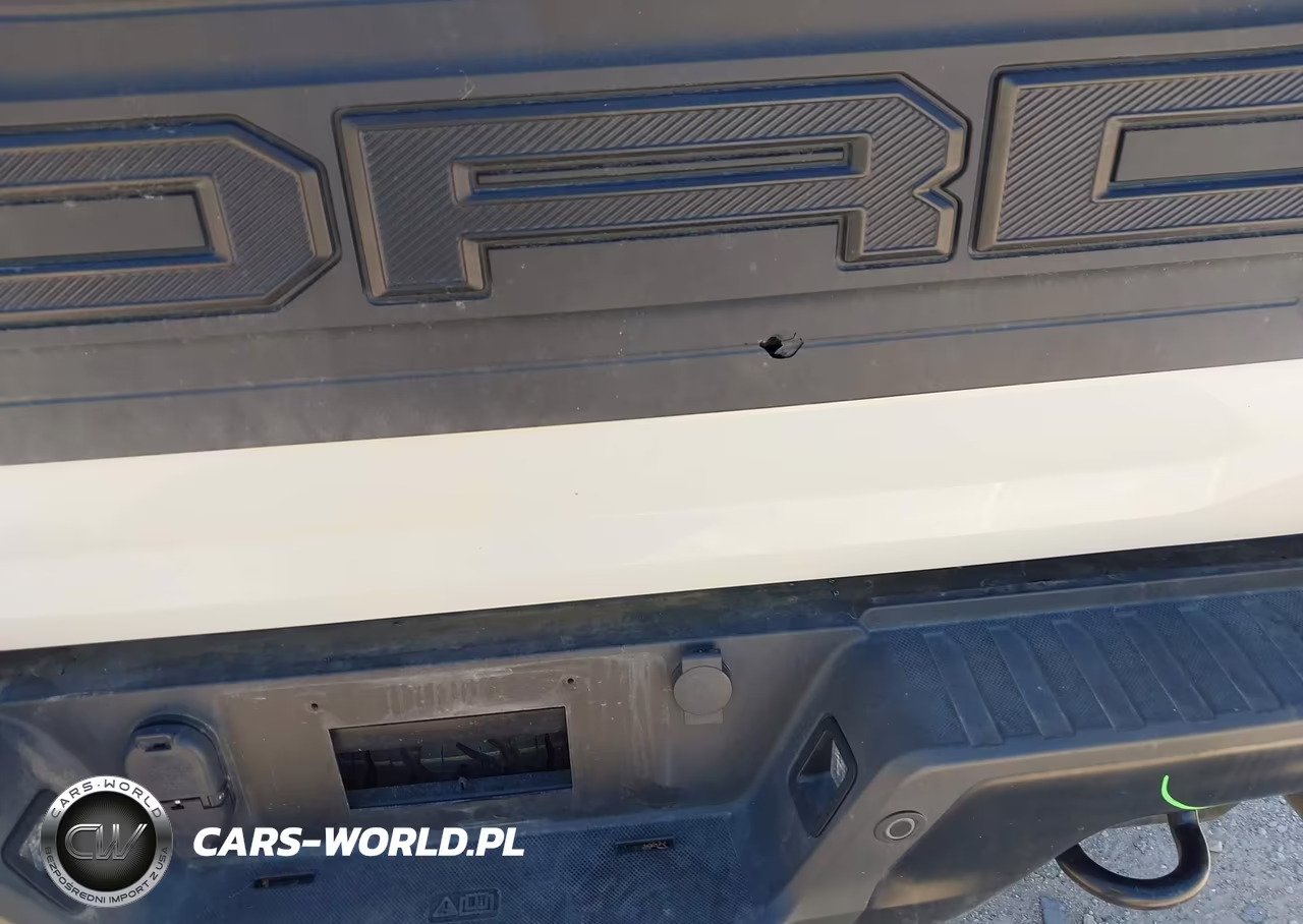 2024 Ford F-150 Raptor VIN:1FTFW1RJ7RFB59425 - 21