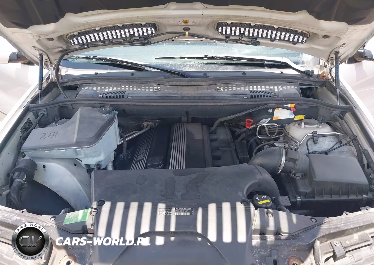 2006 BMW X5 3.0I VIN:5UXFA13546LF99028 - 10