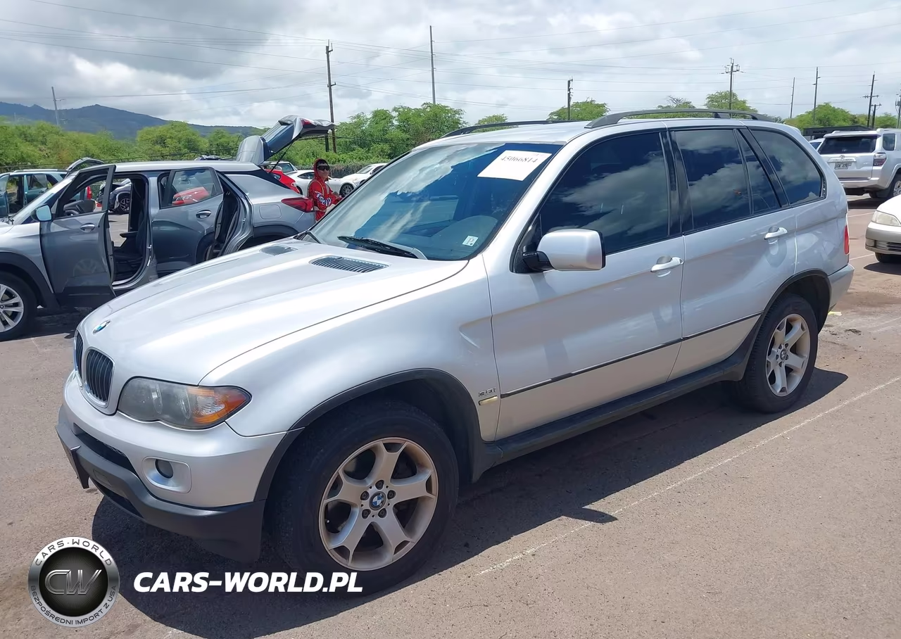 2006 BMW X5 3.0I VIN:5UXFA13546LF99028 - 2
