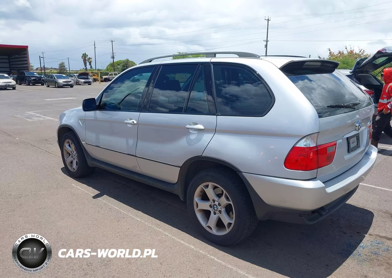 2006 BMW X5 3.0I VIN:5UXFA13546LF99028 - 3