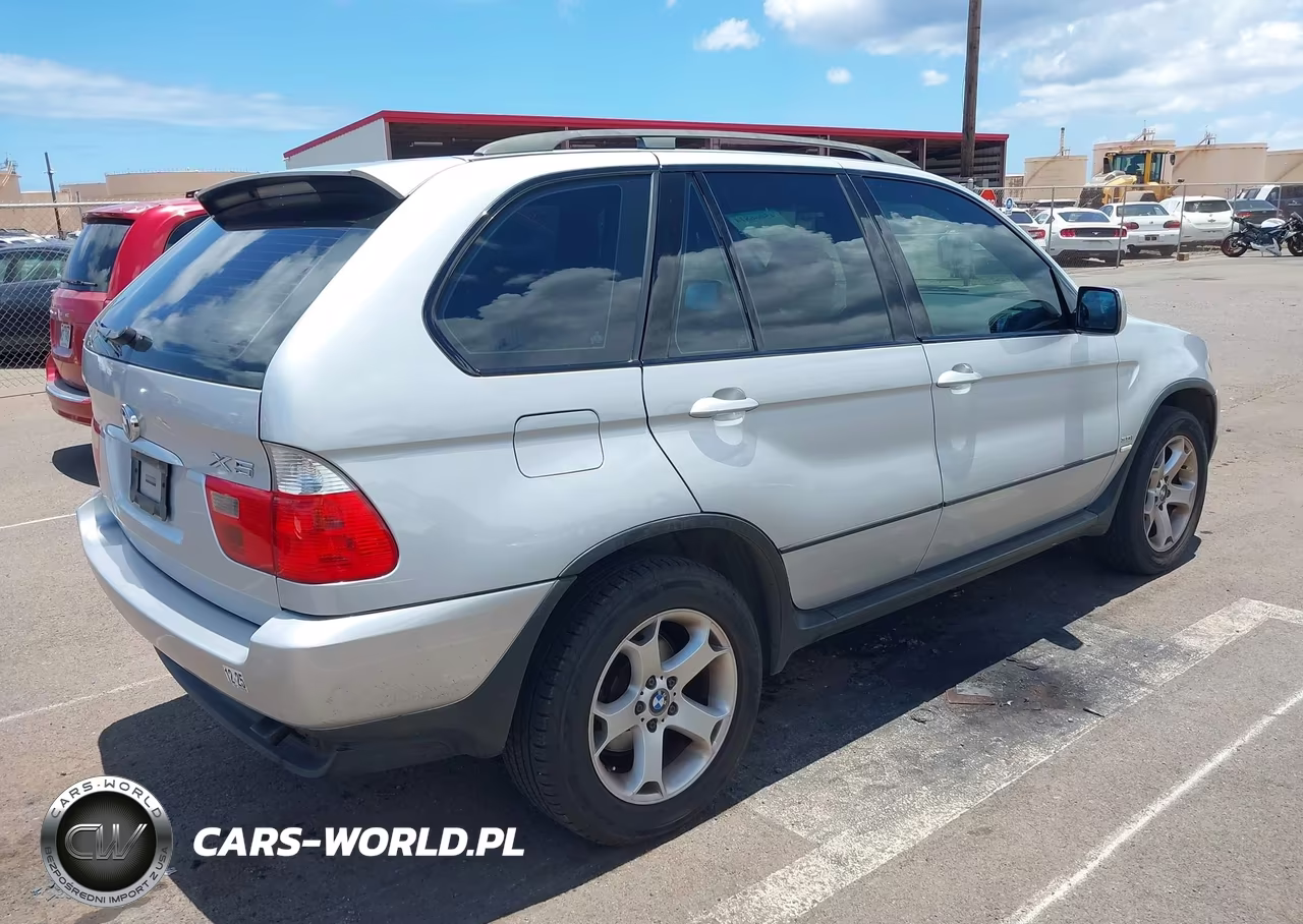 2006 BMW X5 3.0I VIN:5UXFA13546LF99028 - 4